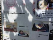 ���Ȃ���̉ԗ�̓��e�ʐ^1