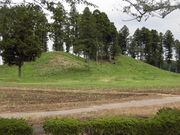 dai-neko̔iˌÕ̓eʐ^1