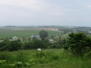 ߂̂₳̐c̋u̓eʐ^2