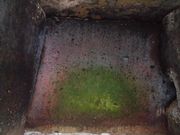 dai-neko̎ԒˌÕ̓eʐ^2