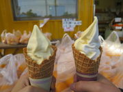 ݂Ȃ݂̌܃݂񒼔X@y̓eʐ^1