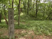 dai-nekǒȌÕ̓eʐ^1