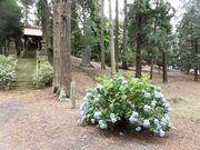 dai-neköˌÕ̓eʐ^1