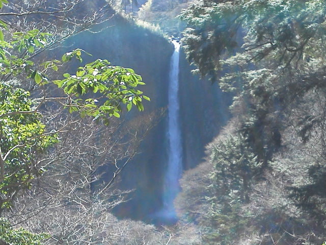 �W�]������B�����U���̑�i�Y��j�ł��B�K���P�[�ł����Ƃ���ڂ��ʂ�܂����B
_�k���̑�