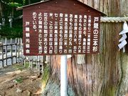 EwC̎O{(ˉB_В)̓eʐ^2