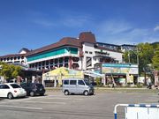 ߋT|~̒r̕ze̓eʐ^2