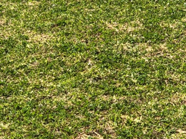 ҁ[̂̎RԁEOR[X̓eʐ^1