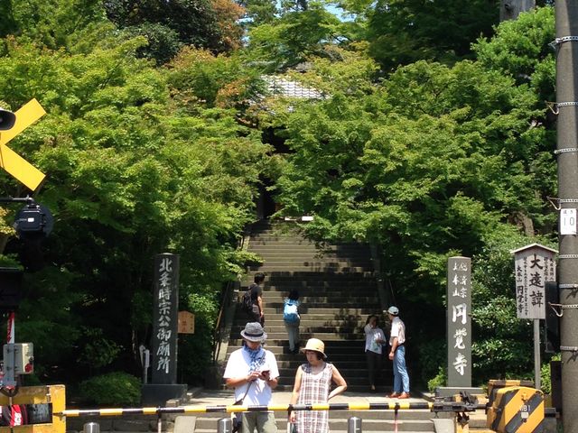 ����_�R��i�~�o���j