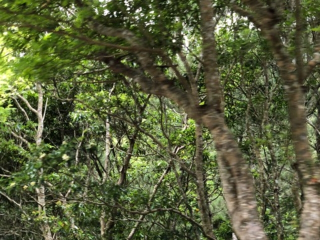 ҁ[̂̋BROSR[X̓eʐ^1