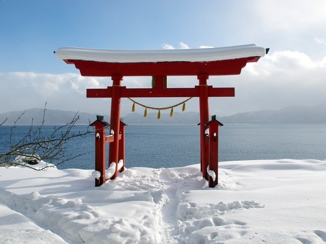 �t�H�g�W�F�j�b�N�ł��B_����ΐ_��