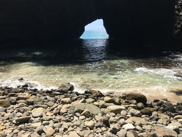 �^�����ʂ���_���{�A