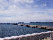 miminô݂ȂƃIAVXg̉whĂ܂̓eʐ^1