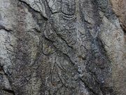 Yanwenli����̎�����s���i�x�얁�R���j�̓��e�ʐ^3