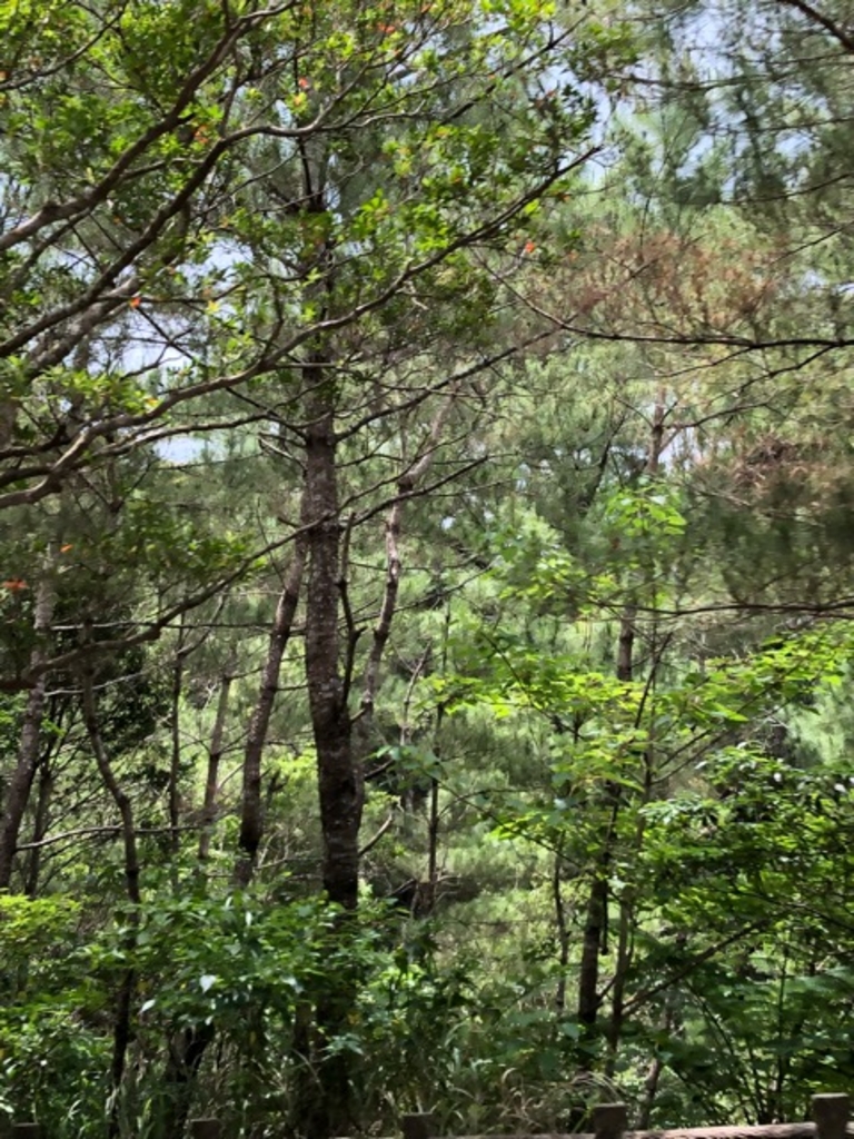 城戸南蔵院前駅周辺の自然景観 絶景ランキングtop10 じゃらんnet