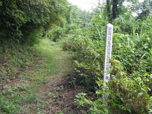 �T��������R����_�T��������R����