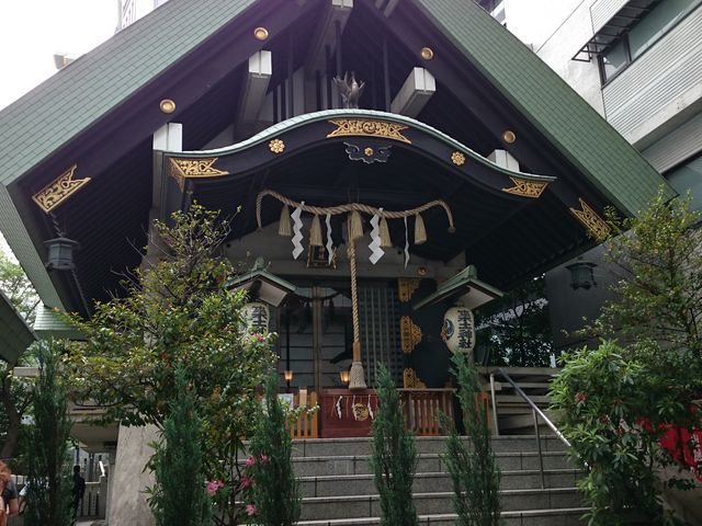 ����_�z�y�_��