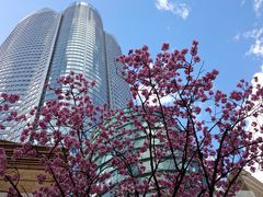 pikopiko̘Z{؃qYւ̓eʐ^1