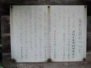 kenken����̋T������i�c�c�W�j�̓��e�ʐ^1