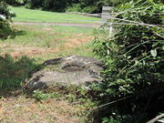 kenken����̓���J�p���Ղ̓��e�ʐ^1