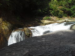 ��������񂳂�̖���̑�ւ̓��e�ʐ^1