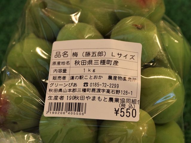 Ƃ񂳂̓̉w Ƃ {݁uO[҂v̓eʐ^2