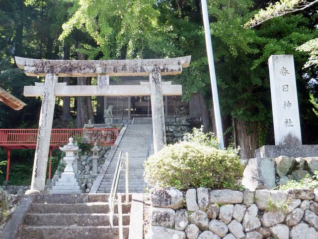 ���ڂ炳��̏t���_�Ђ̓��e�ʐ^1