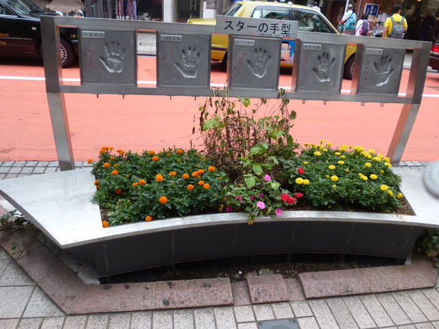 �X�^�[�̎�^_�󑐌��