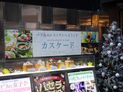 SHIN����̃J�X�P�[�h ����X�ւ̓��e�ʐ^1
