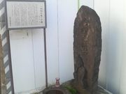 Ƃ񂳂̎R̗̔̓eʐ^3