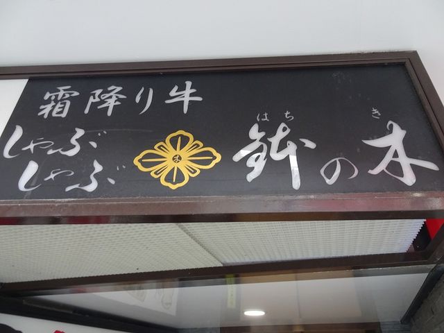 SHIN̂Ԃ ̖؂̓eʐ^1