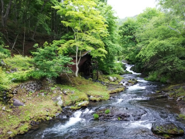 �i�����i�O�j�̌i�F_���ȃO�����h�z�e����̓�