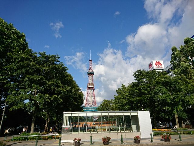 �R���g���X�g��������_�����ۂ�e���r��