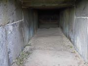 dai-neko̊≮RÕ̓eʐ^1