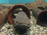 ^[g̎ꌧiΔق̓eʐ^2