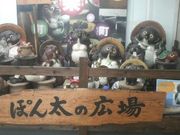 ���Ƃ��񂳂�̓������g���L�y�����L�y���w�̓��e�ʐ^2