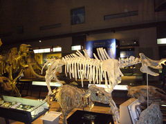 Xkv̖kBŝ̂єقւ̓eʐ^1