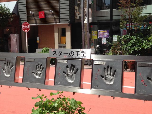 �X�^�[�̎�`_�󑐌��