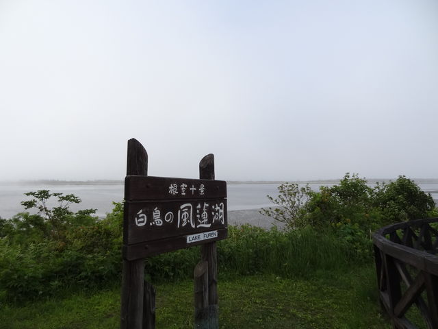 �i�F�ɂ悭�������Ŕ�_���@��