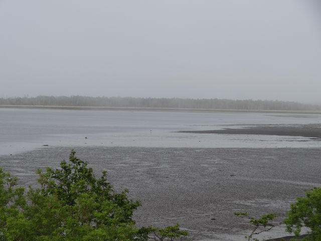 �܂��Ă��Ă������܂Ō��n���܂���_���@��