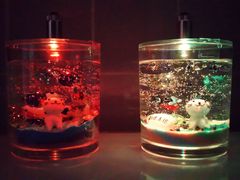 썑diveȓ̌H[gNtg_˂ւ̓eʐ^1