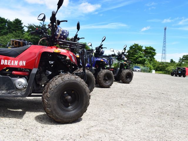 �����������o�M�[�B�B_DREAM ON�i�h���I���I�j