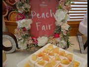 ��������񂳂�̃e���X ���X�g�����̓��e�ʐ^3