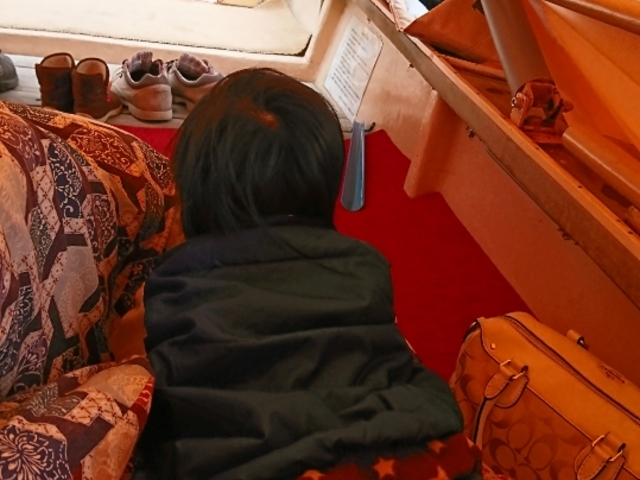 ̑DŖx߂I
Ⴂʉ߂Ƃ͓VI_Ə]@x߂