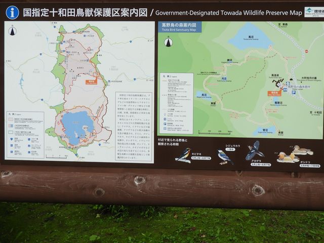 �Ζ쒹�̐X�@�ē��}_�Ӗ쒹�̐X�ώ@�H