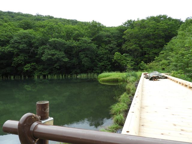 zin����̒Ӗ쒹�̐X�ώ@�H�̓��e�ʐ^6