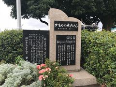 �߂̂�����̃J�����̐�������̔�ւ̓��e�ʐ^1