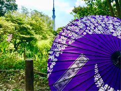 向島百花園 アクセス 営業時間 料金情報 じゃらんnet