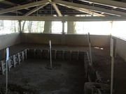 �Ё[����񂳂�̏��m�؈�Ղ̓��e�ʐ^3