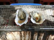 ̃~L[Sĵ@FiX̓eʐ^1