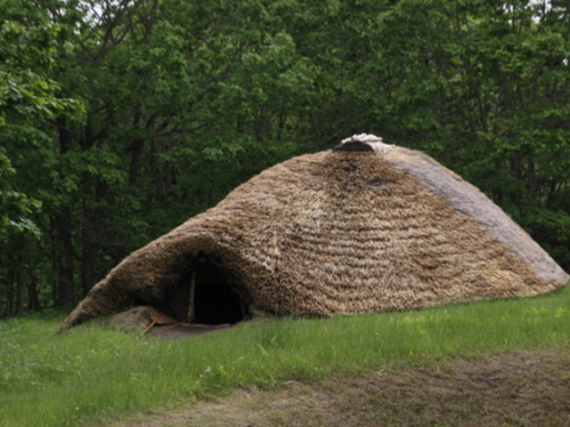 �����������݂����Ȃ��̂͂ǂ�����Ă���̂���������܂��B_�k�l���